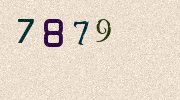 Visual Confirmation Security Code