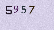 Visual Confirmation Security Code