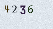 Visual Confirmation Security Code
