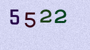Visual Confirmation Security Code