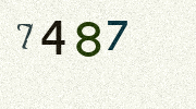 Visual Confirmation Security Code