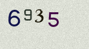 Visual Confirmation Security Code