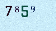 Visual Confirmation Security Code