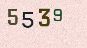 Visual Confirmation Security Code