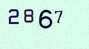 Visual Confirmation Security Code