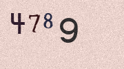 Visual Confirmation Security Code