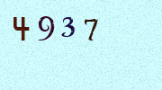 Visual Confirmation Security Code