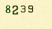 Visual Confirmation Security Code