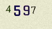 Visual Confirmation Security Code