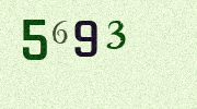 Visual Confirmation Security Code