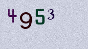 Visual Confirmation Security Code