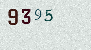 Visual Confirmation Security Code