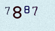 Visual Confirmation Security Code