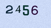 Visual Confirmation Security Code
