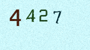 Visual Confirmation Security Code
