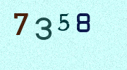 Visual Confirmation Security Code