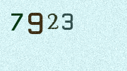 Visual Confirmation Security Code