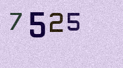 Visual Confirmation Security Code