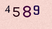Visual Confirmation Security Code