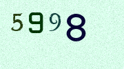 Visual Confirmation Security Code