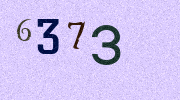 Visual Confirmation Security Code