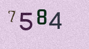 Visual Confirmation Security Code