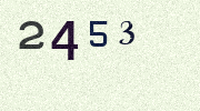 Visual Confirmation Security Code