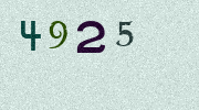 Visual Confirmation Security Code