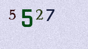 Visual Confirmation Security Code