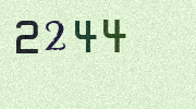 Visual Confirmation Security Code