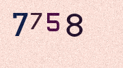 Visual Confirmation Security Code