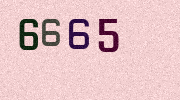 Visual Confirmation Security Code