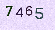 Visual Confirmation Security Code
