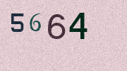 Visual Confirmation Security Code