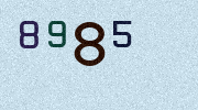 Visual Confirmation Security Code