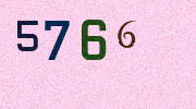Visual Confirmation Security Code