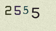 Visual Confirmation Security Code