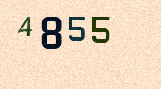 Visual Confirmation Security Code