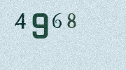 Visual Confirmation Security Code