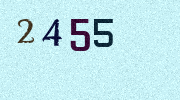 Visual Confirmation Security Code
