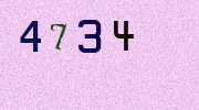 Visual Confirmation Security Code