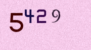 Visual Confirmation Security Code
