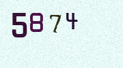 Visual Confirmation Security Code