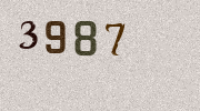 Visual Confirmation Security Code