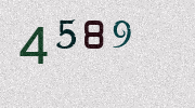 Visual Confirmation Security Code