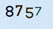 Visual Confirmation Security Code