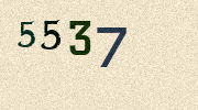 Visual Confirmation Security Code