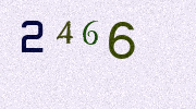 Visual Confirmation Security Code
