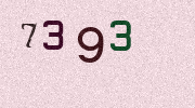 Visual Confirmation Security Code
