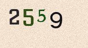 Visual Confirmation Security Code